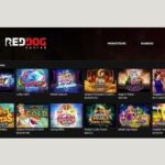 Finest Online casino Incentives & Sign-Right up Offers September 2024