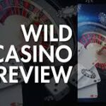 Wild Joker Gambling Enterprise Testimonial: Our Decision