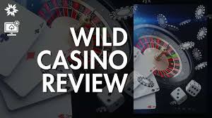 Wild Joker Gambling Enterprise Testimonial: Our Decision